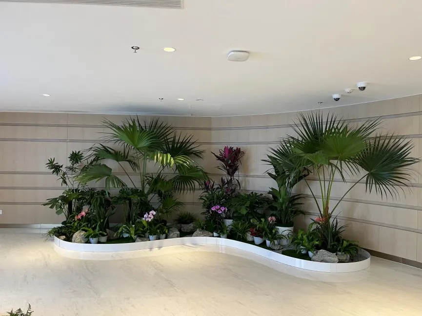 超棒服务！宁波余姚盆景租摆，给你全新感受！